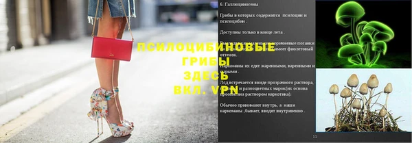 прущий лед Алексеевка