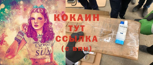 дживик Алексин