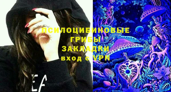 прущий лед Алексеевка