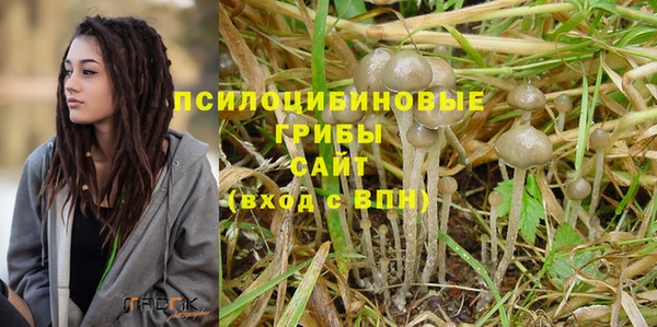 прущий лед Алексеевка