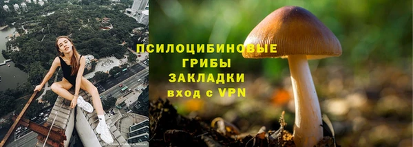 дживик Алексин