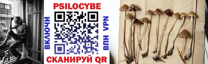 Галлюциногенные грибы Psilocybe  Лагань 